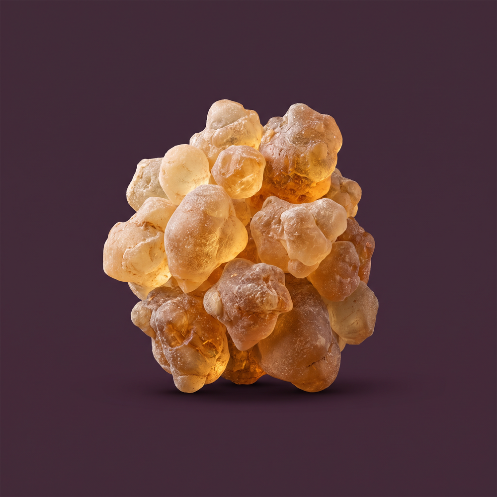 Boswellia Extract